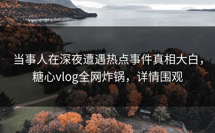当事人在深夜遭遇热点事件真相大白，糖心vlog全网炸锅，详情围观