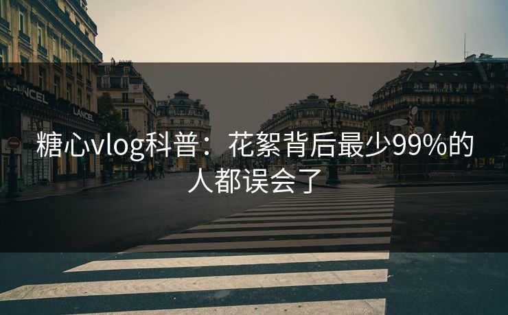 糖心vlog科普:花絮背后最少99%的人都误会了 糖心vlog科普:花絮背后最少99%的人都误会了