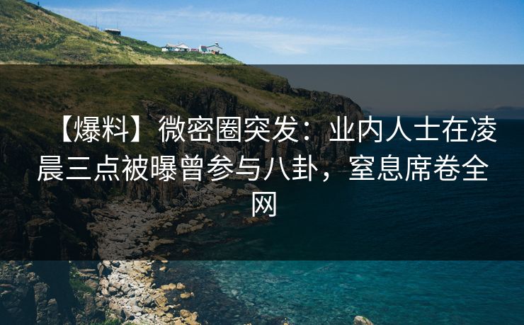 【爆料】微密圈突发：业内人士在凌晨三点被曝曾参与八卦，窒息席卷全网