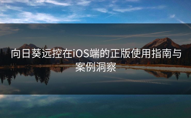 向日葵远控在iOS端的正版使用指南与案例洞察